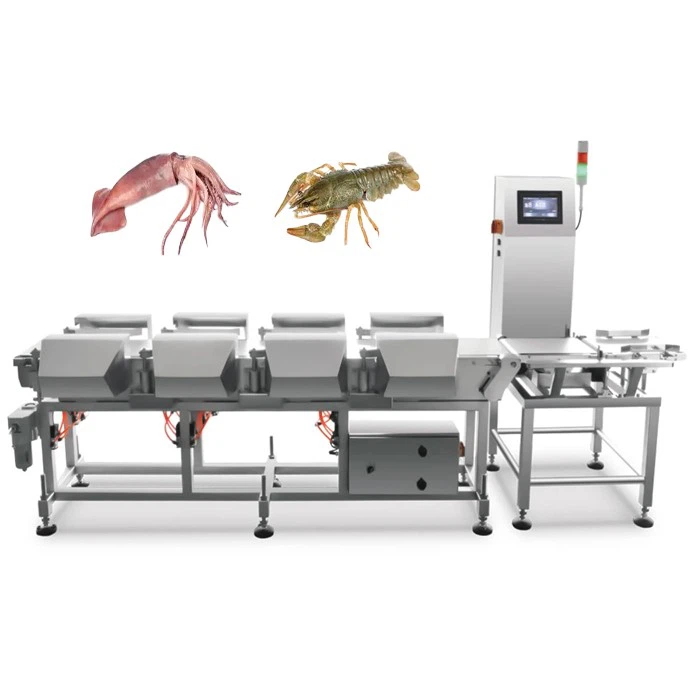 Fish sorting machine 1