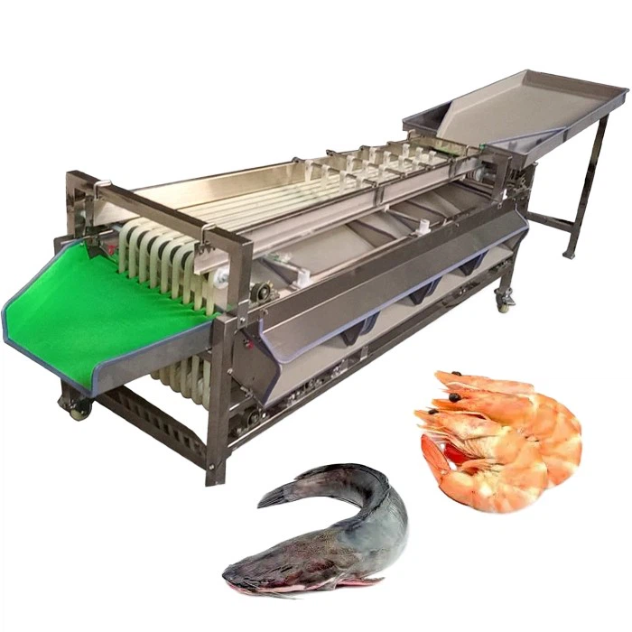 Fish sorting machine 2