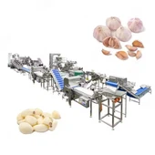 Przemysłowe roztwór obróbki czosnku Pakowanie